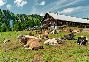 Tannheimer Tal Bergschön TV Allgäu Oberstdorf Oberallgäu Kleinwalsertal Tannheimer Tal