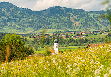 Für alle Allgäu Fans