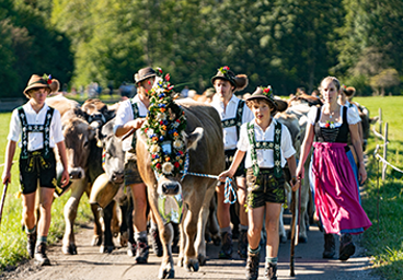 Für alle Allgäu Fans