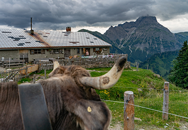 Alpe Stierhof Kleinwalsertal Allgäu Frau Bergschön