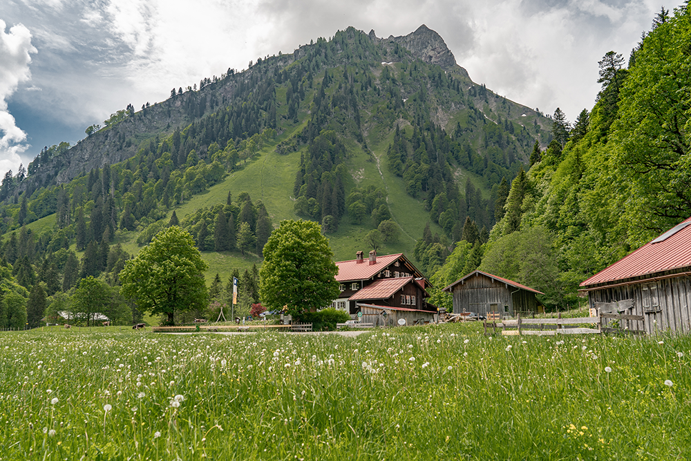 Alpe Bärgündle Hinterstein Bad Hindelang Allgäu Oberallgäu Frau Bergschön