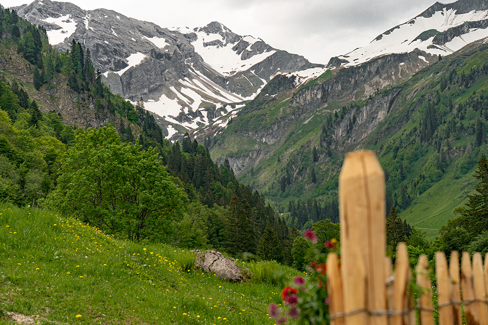 Alpe Bärgündle Hinterstein Bad Hindelang Allgäu Oberallgäu Frau Bergschön