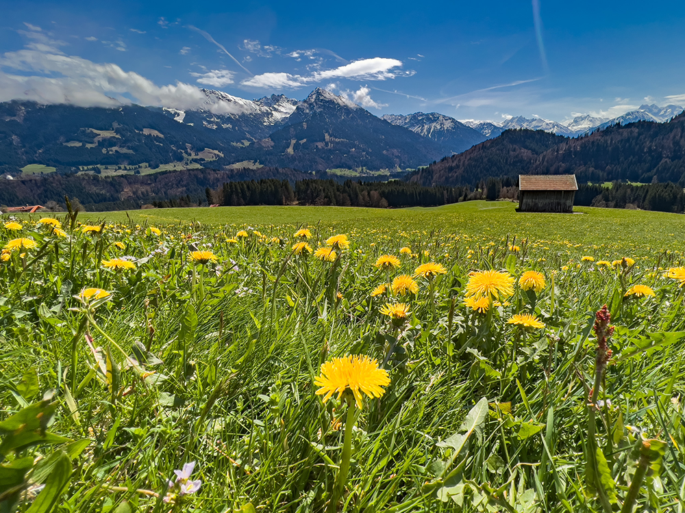 Bergschön Freibergsee Oberstdorf