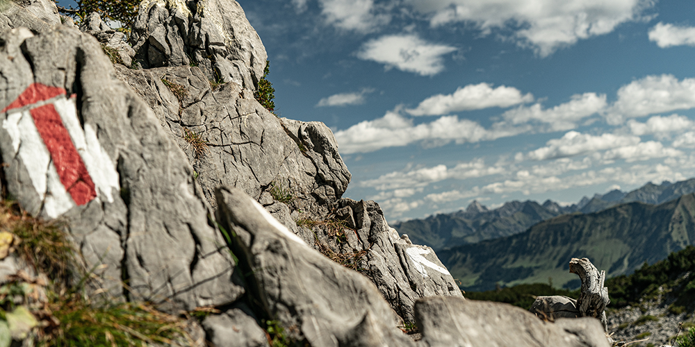 Walmendinger Horn Kleinwalsertal Gratwanderung Ochsenhofer Köpfe Allgäu Oberallgäu Frau Bergschön