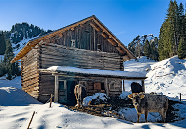 Kleinwalsertal Winterwanderung Allgäu Saisonstart Oberallgäu Oberstdorf Allgäu Frau Bergschön