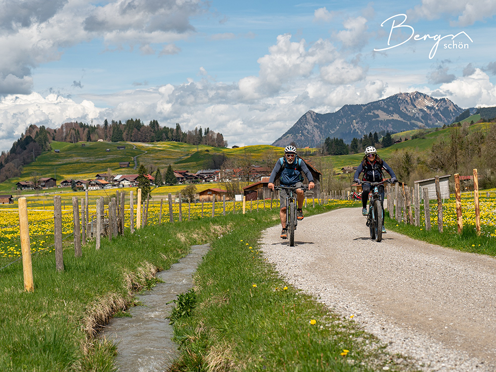 Löwenzahn Wiese Oberstdorf Bike Fahrrad Moutainbike Tour Ausflug