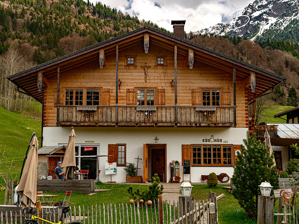 Löwenzahn Wiese Oberstdorf Bike Fahrrad Moutainbike Tour Ausflug