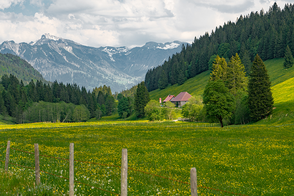 Rohrmoss Obersdorf Piesenkopf Piesenalpe Allgäu Oberallgäu Frau Bergschön