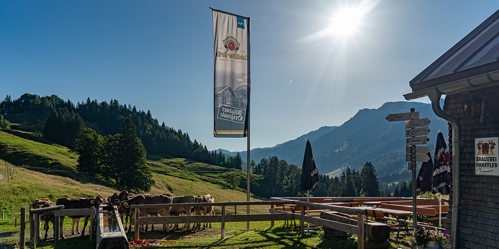 Walmendinger Horn Kleinwalsertal Gratwanderung Ochsenhofer Köpfe Allgäu Oberallgäu Frau Bergschön