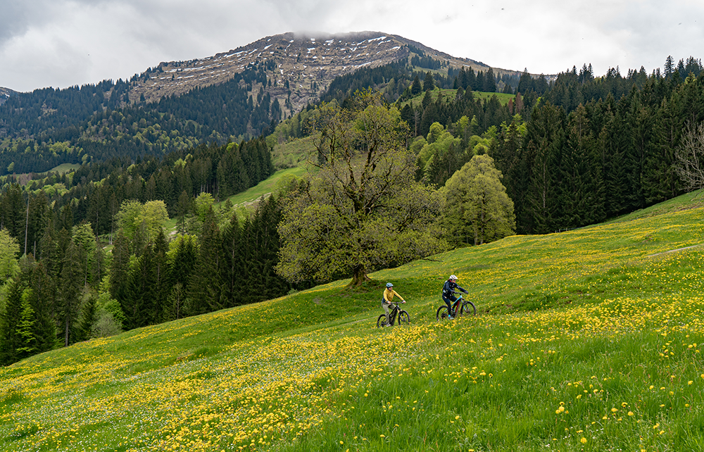 Biketour Steibis Oberstaufen Hochgrat