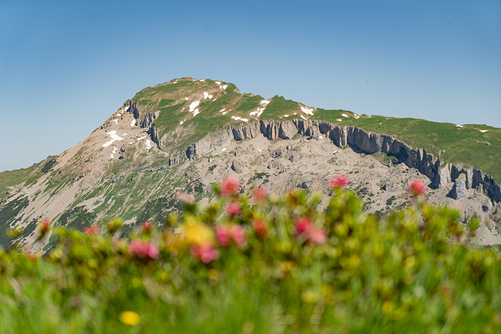 Walmendinger Horn Kleinwalsertal Gratwanderung Ochsenhofer Köpfe Allgäu Oberallgäu Frau Bergschön