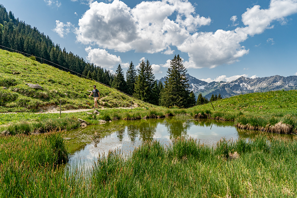 Rohrmoss Obersdorf Piesenkopf Piesenalpe Allgäu Oberallgäu Frau Bergschön