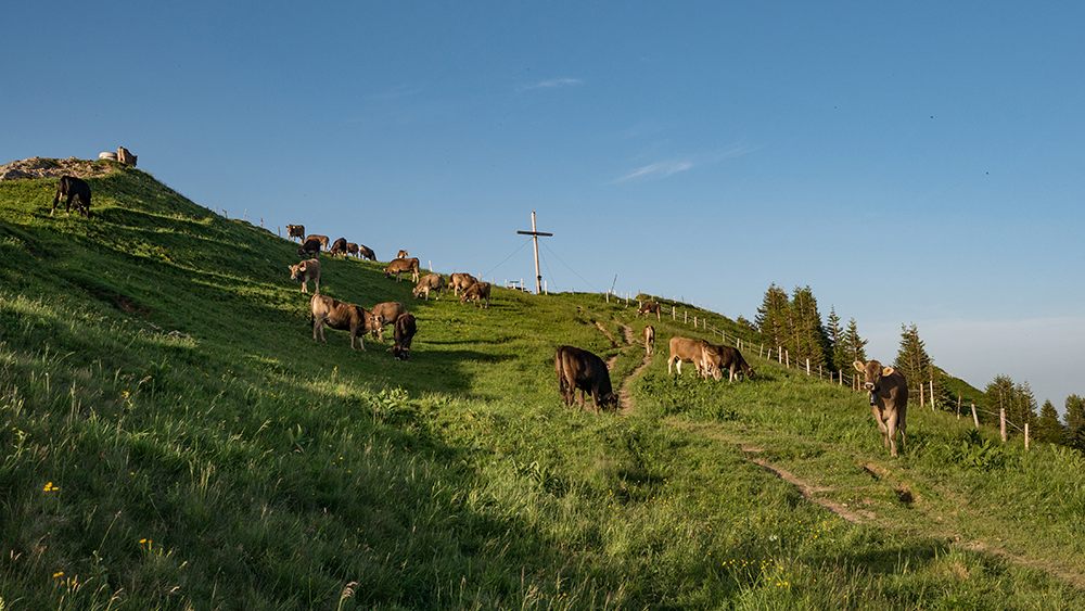 Stuiben Allgäuweit Bergschön