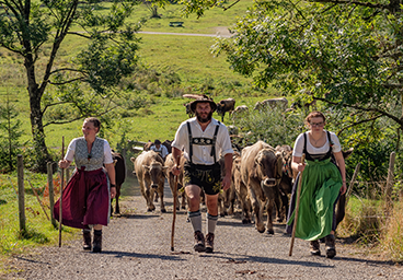 Tannheimer Tal Bergschön TV Allgäu Oberallgäu Kleinwalsertal Tannheimer Tal