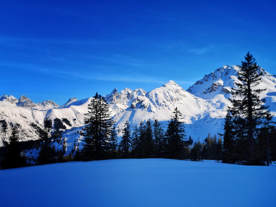 Schneekanonen Fellhorn OK-Bergbahnen Frau Bergschön