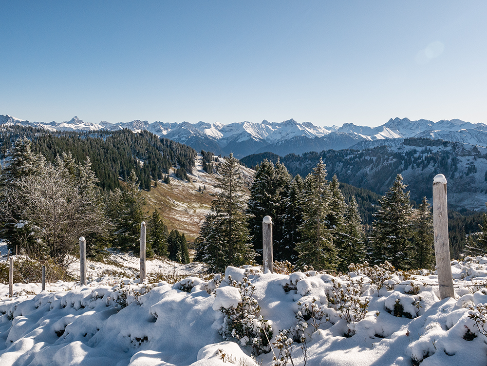 Frau Bergschön Riedberger Horn