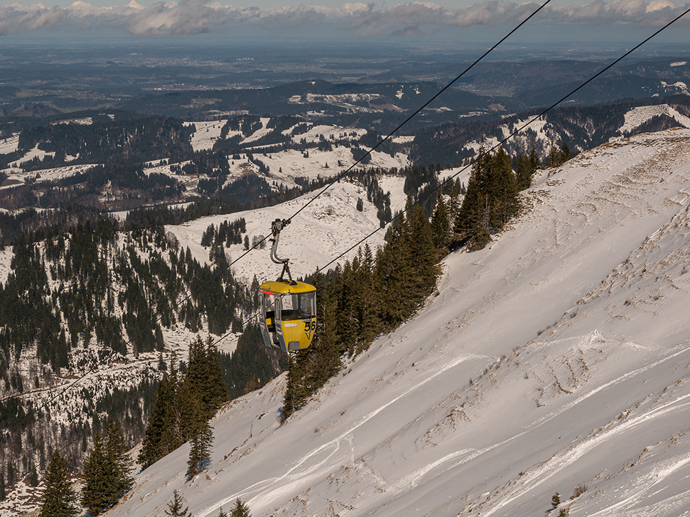 Frau Bergschön am Hochgrat 