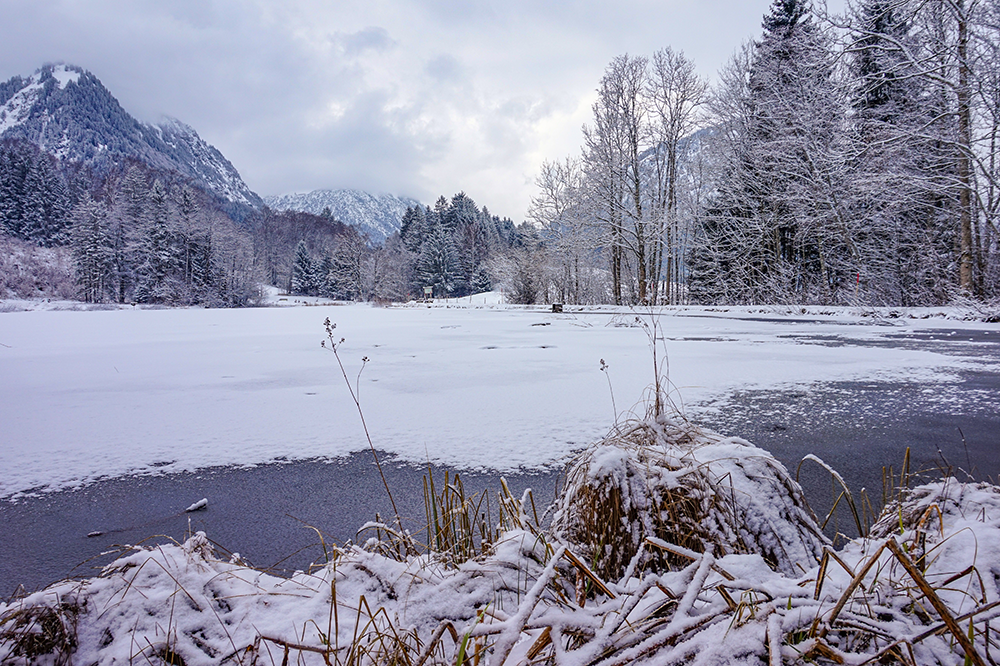 Frau Bergschön Moorweiher