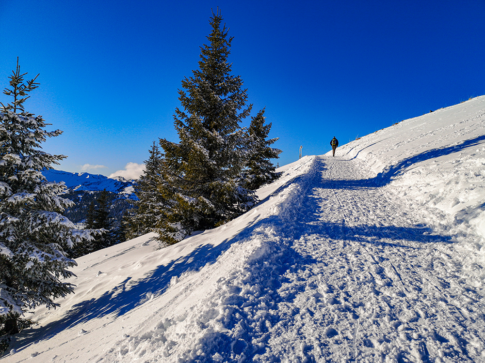 Frau Bergschön Tannheimertal