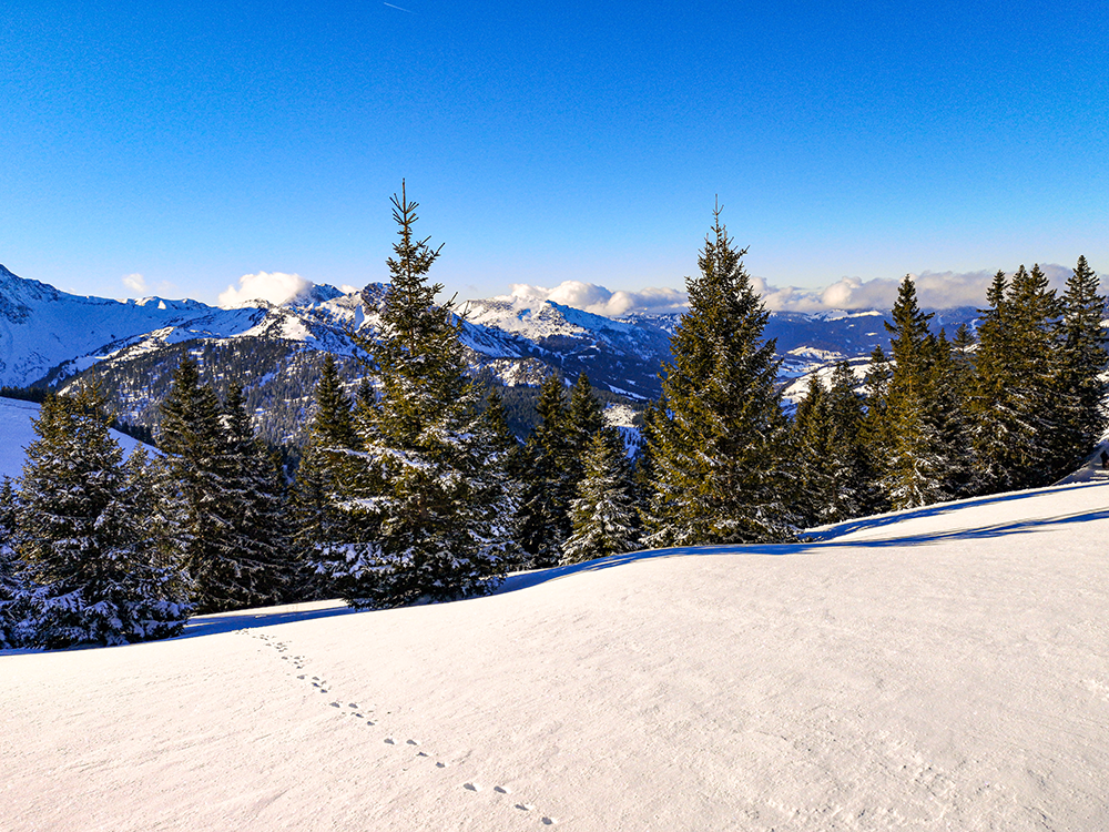 Frau Bergschön Tannheimertal