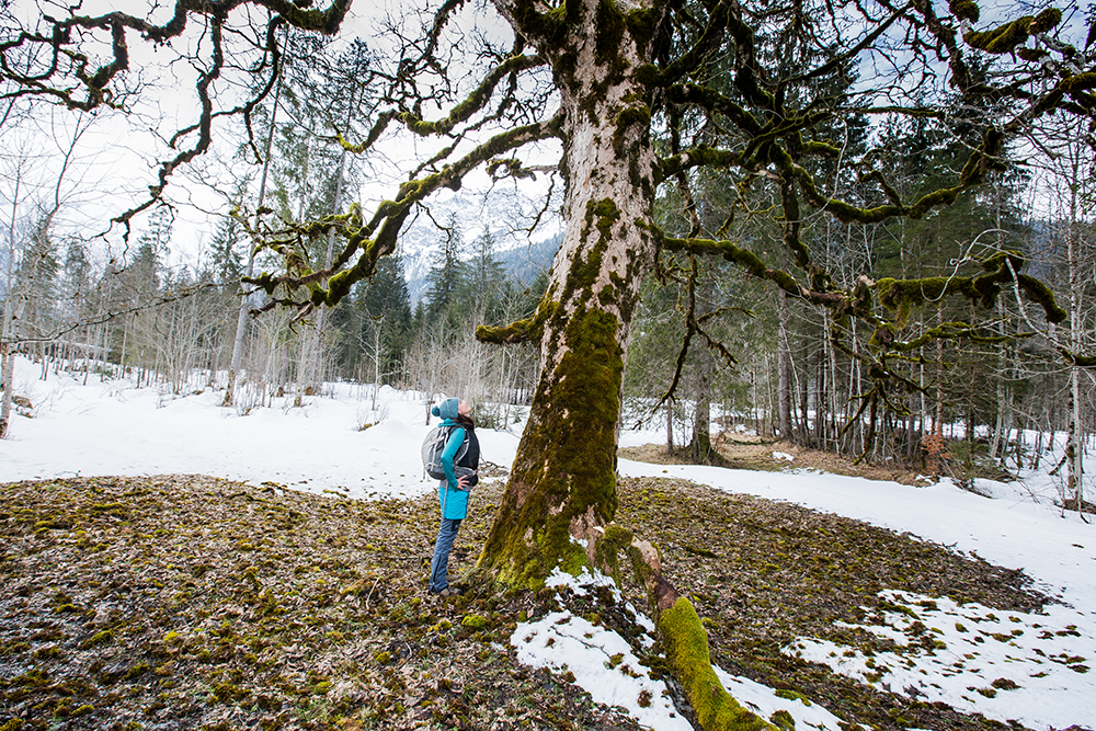 Einödsbach Wanderung Frau Bergschön