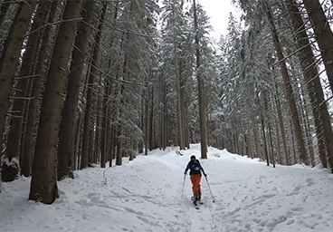 Tannheimer Tal Bergschön TV Allgäu Oberstdorf Oberallgäu Gunzesrieder Tal Tannheimer Tal